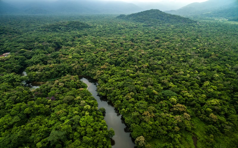 Brazilian Atlantic Forest