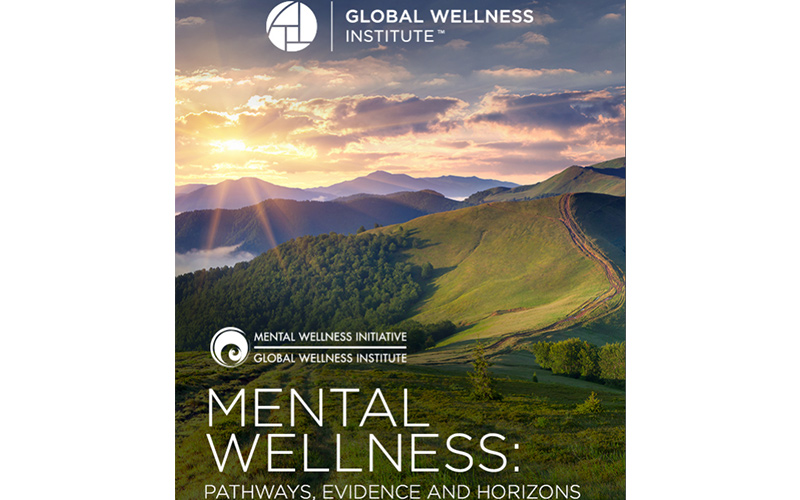 Mental Wellness Initiative