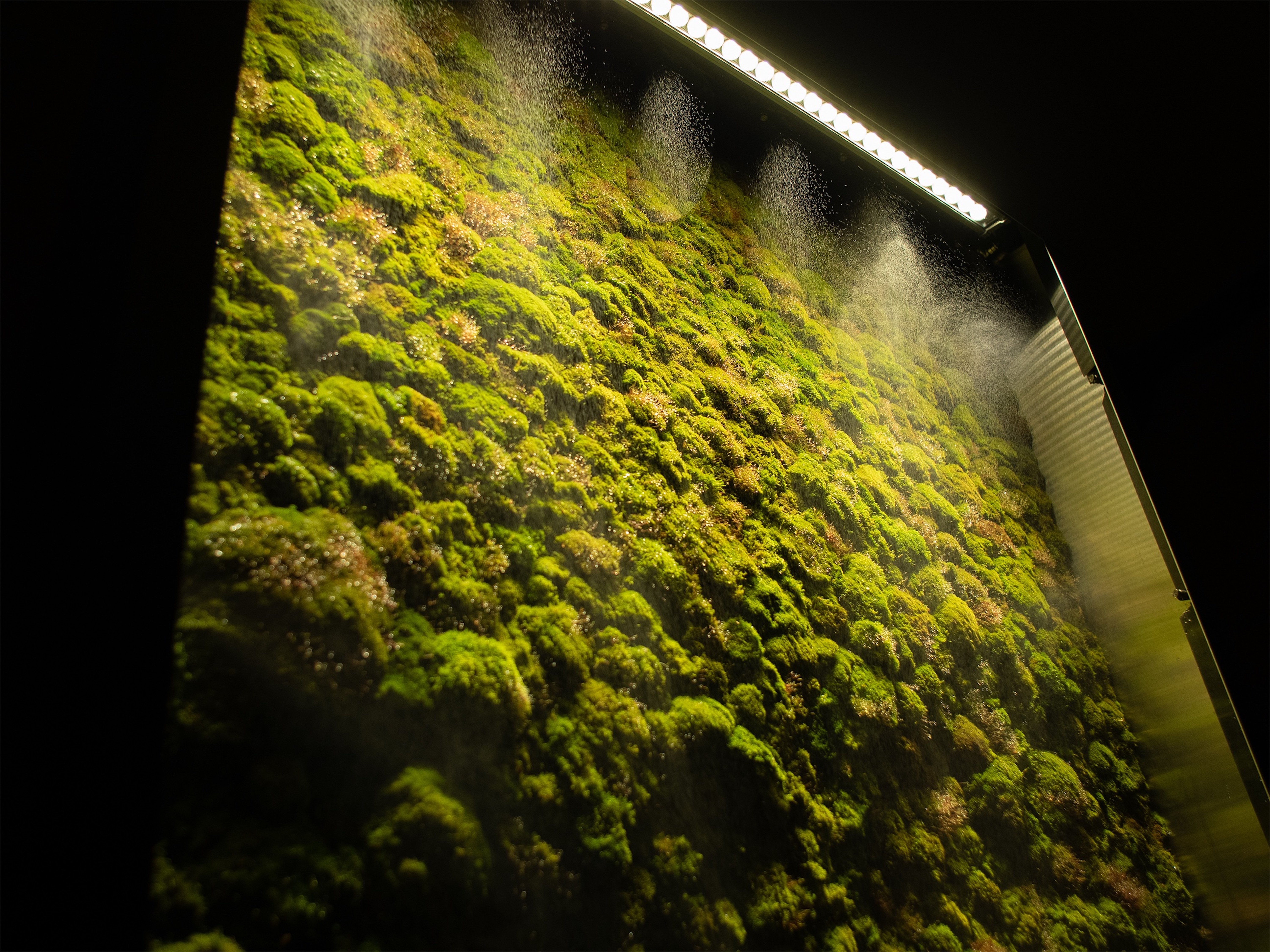 Moss walls provide an array of benefits to spas  Photo courtesy of Moss Walls
