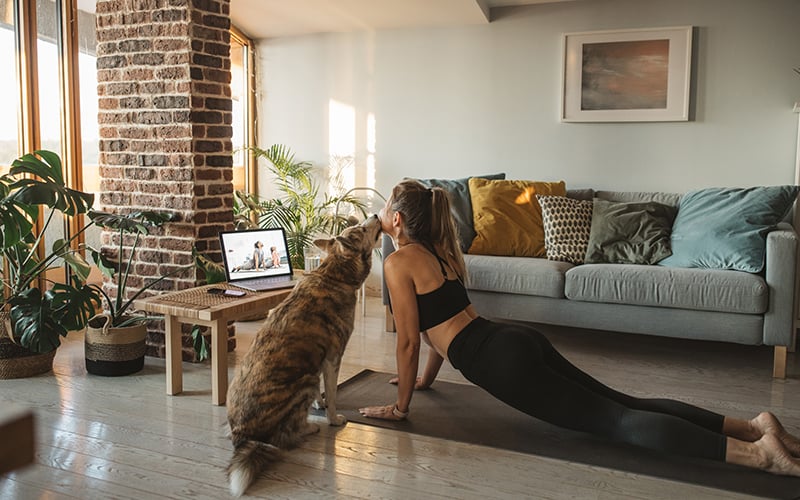 woman working out online at home with dog