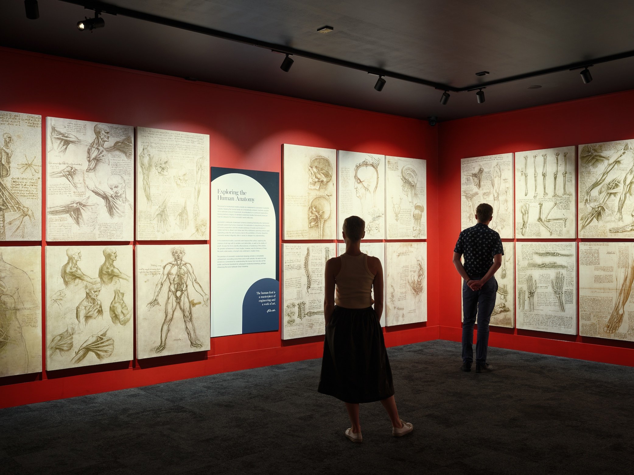  Grande Experiences and THE LUME Melbourne unveiled Leonardo da Vinci  500 Years of Genius in Melbourne Australia 