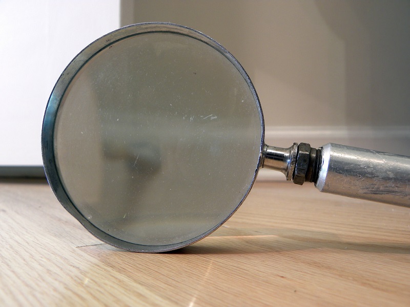 magnifyingglass