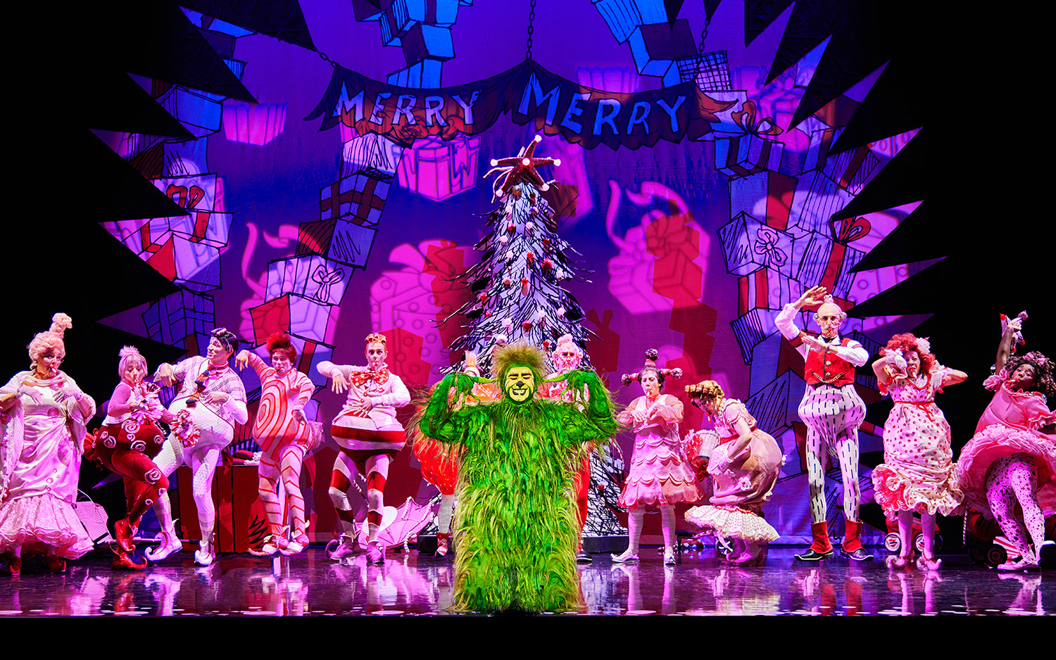 James Schultz as THE GRINCH and the Touring Company of Dr Seuss HOW THE GRINCH STOLE CHRISTMAS The Musical