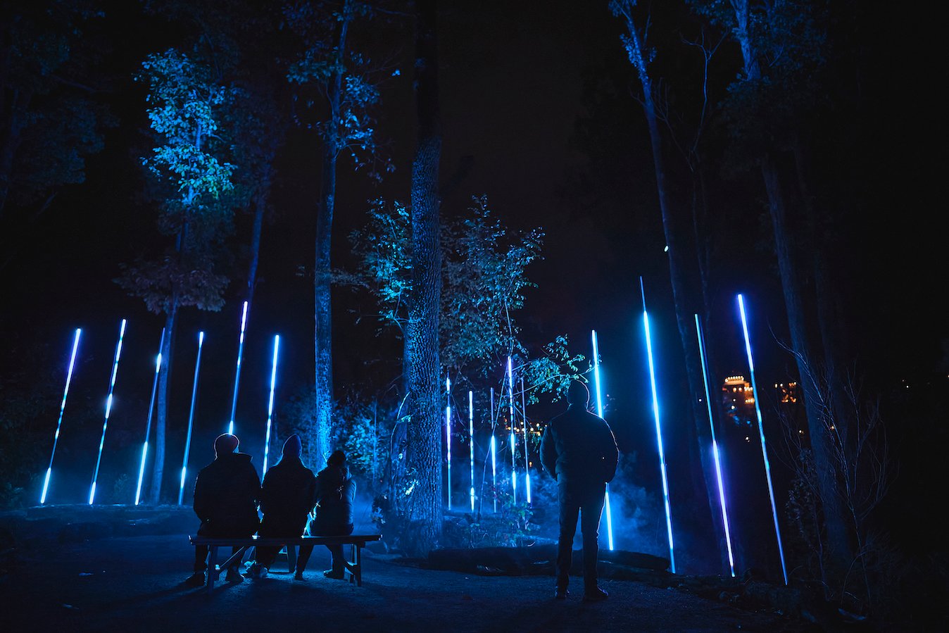 bjærgning Ensomhed lejesoldat Multimedia Studio Moment Factory Brings The Lumina Enchanted Night Walk  Series To The U.S. | Live Design Online