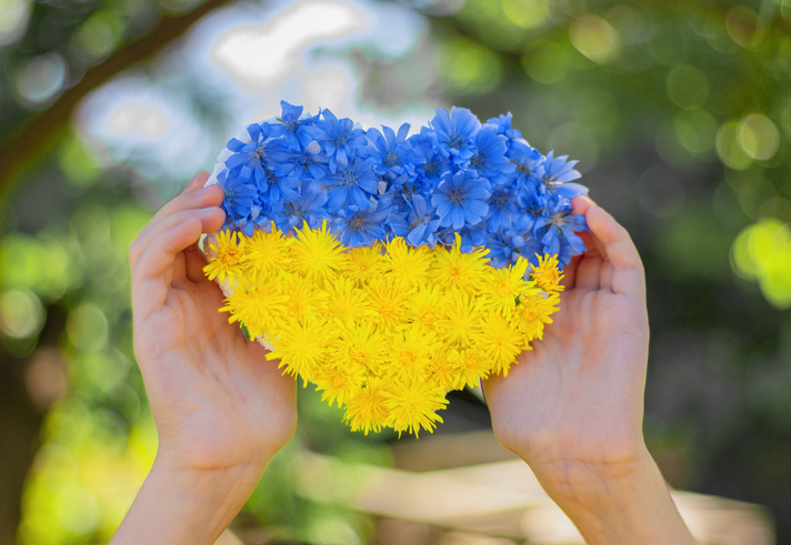 heart made of blue and yellow flowers in the hands of a child
