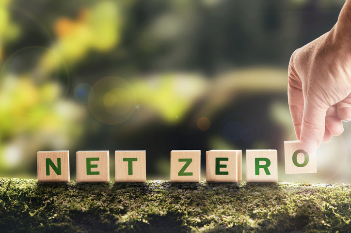 Hand puts wooden cubes with netzero icon in green background copy space