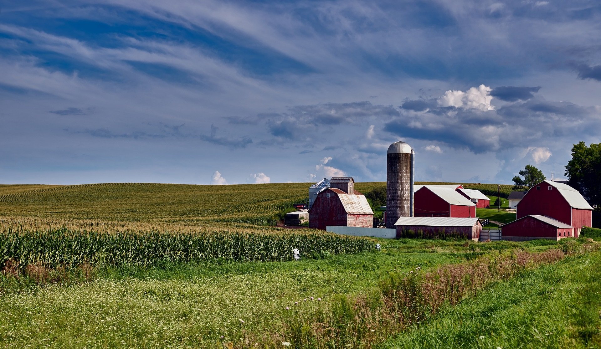 Rural Iowa landscape