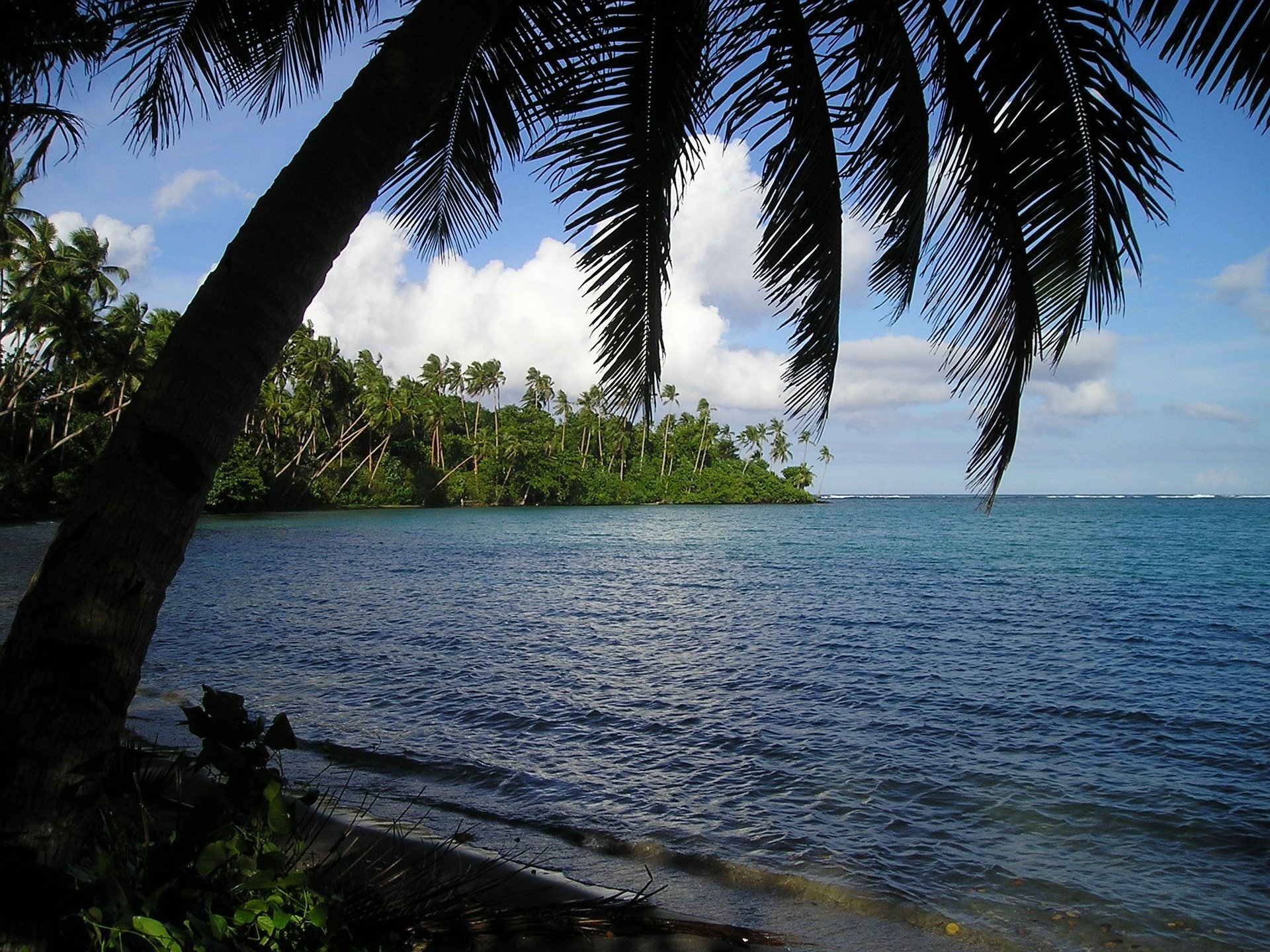 Beach in Samoa