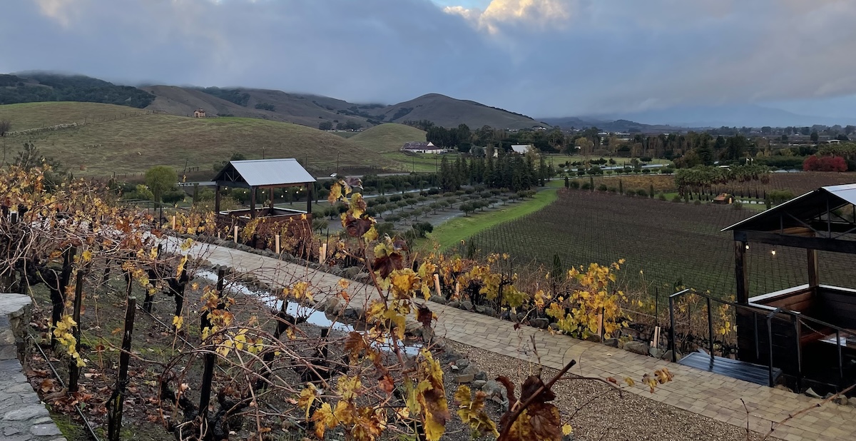 A view from Viansa Winery Sonoma Calif Source Diana GoovaertsSilverlinings