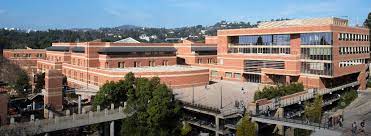 UCLA School of Mangagement