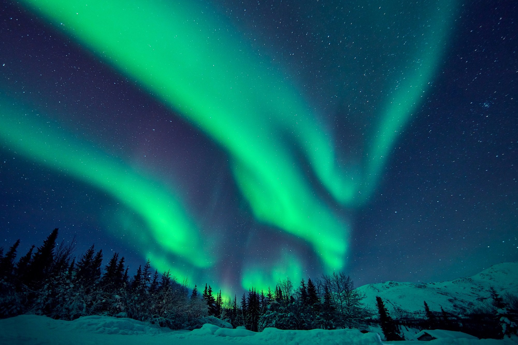 Aurora in Alaska sky