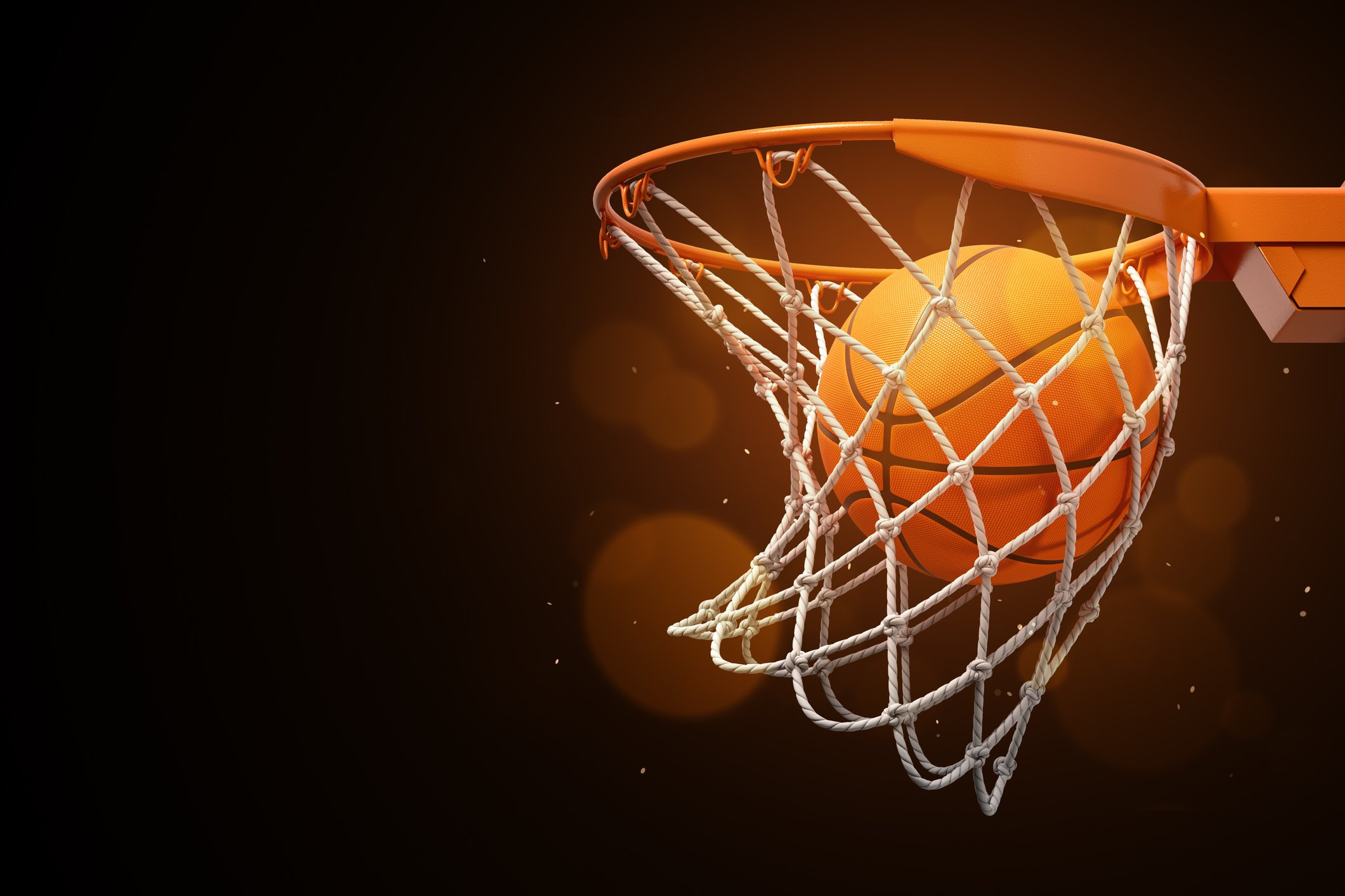 basketball hoop net