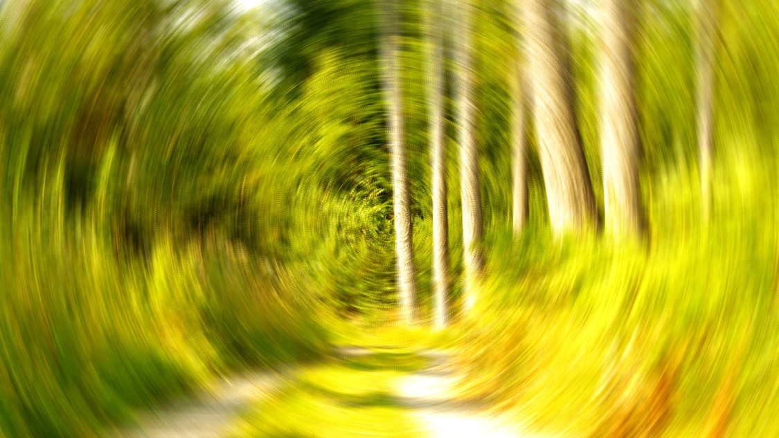 trees blurred from road view