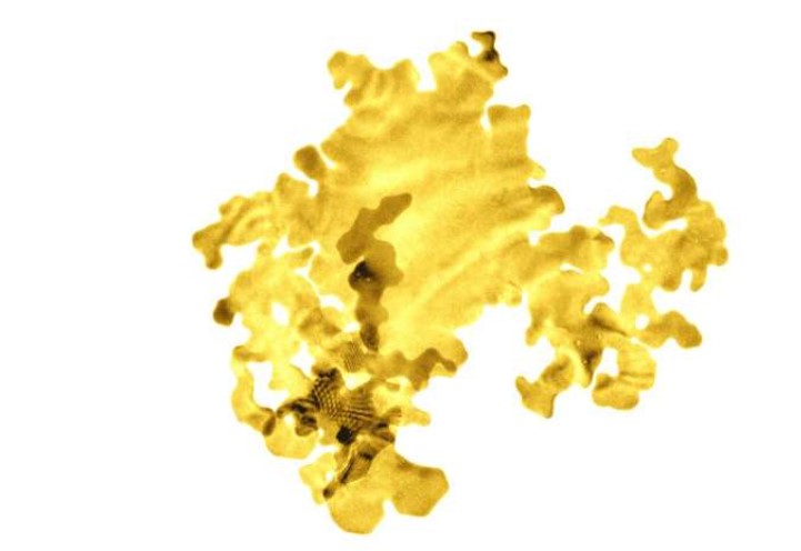 gold nanosheet