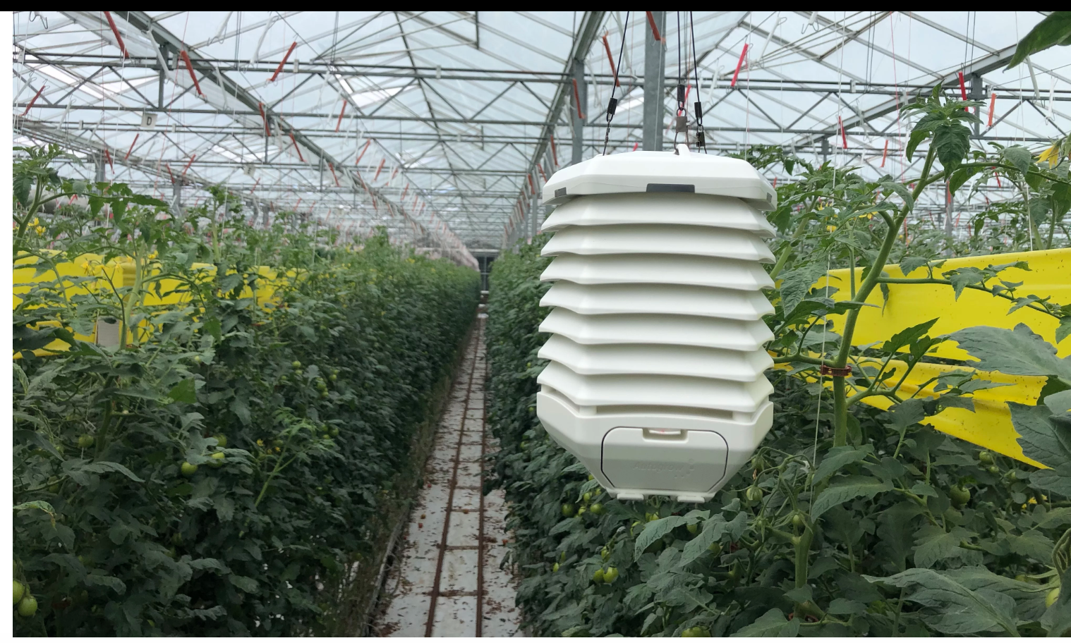 Autogrow develops wireless sensor for greenhouses