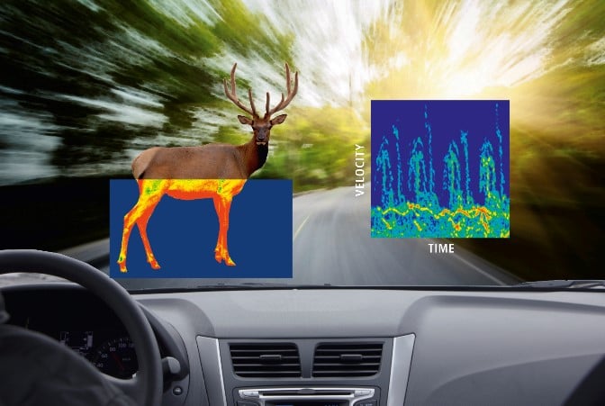 deer crossing image