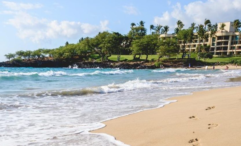 Island of Hawaii small business owner vacation
