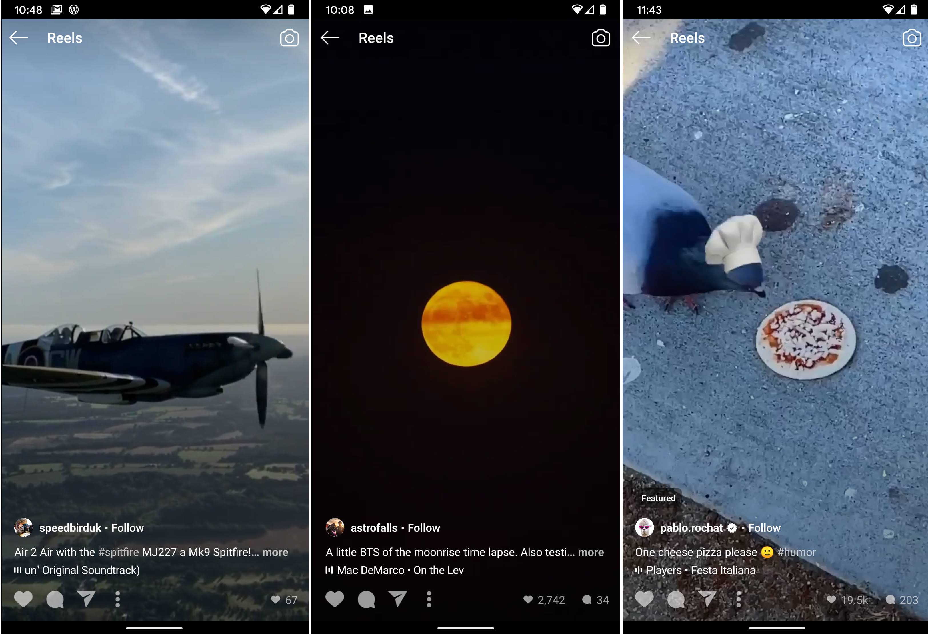Three Instagram reels a plane in flight a moonrise a bird eating pizza