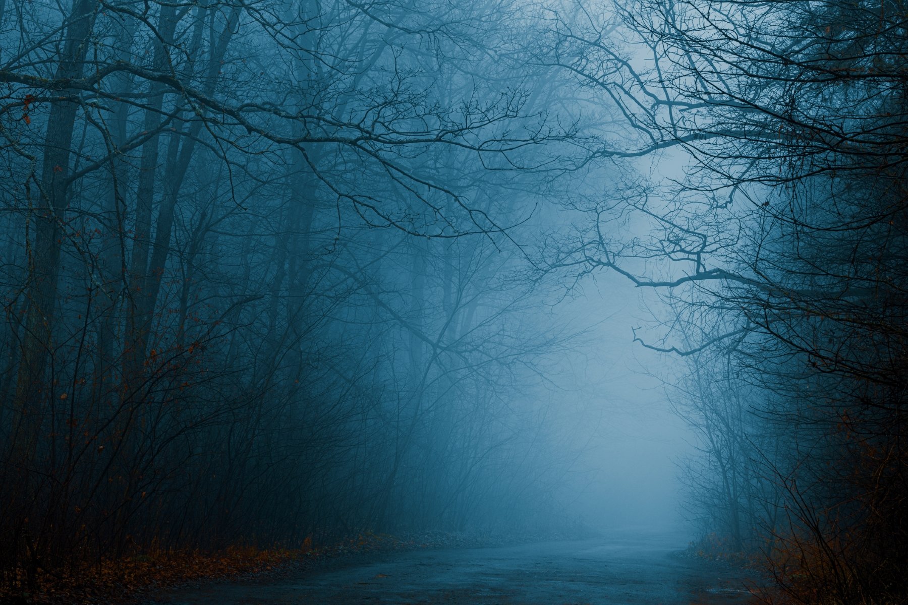 foggy road mysterious ominous  getty images