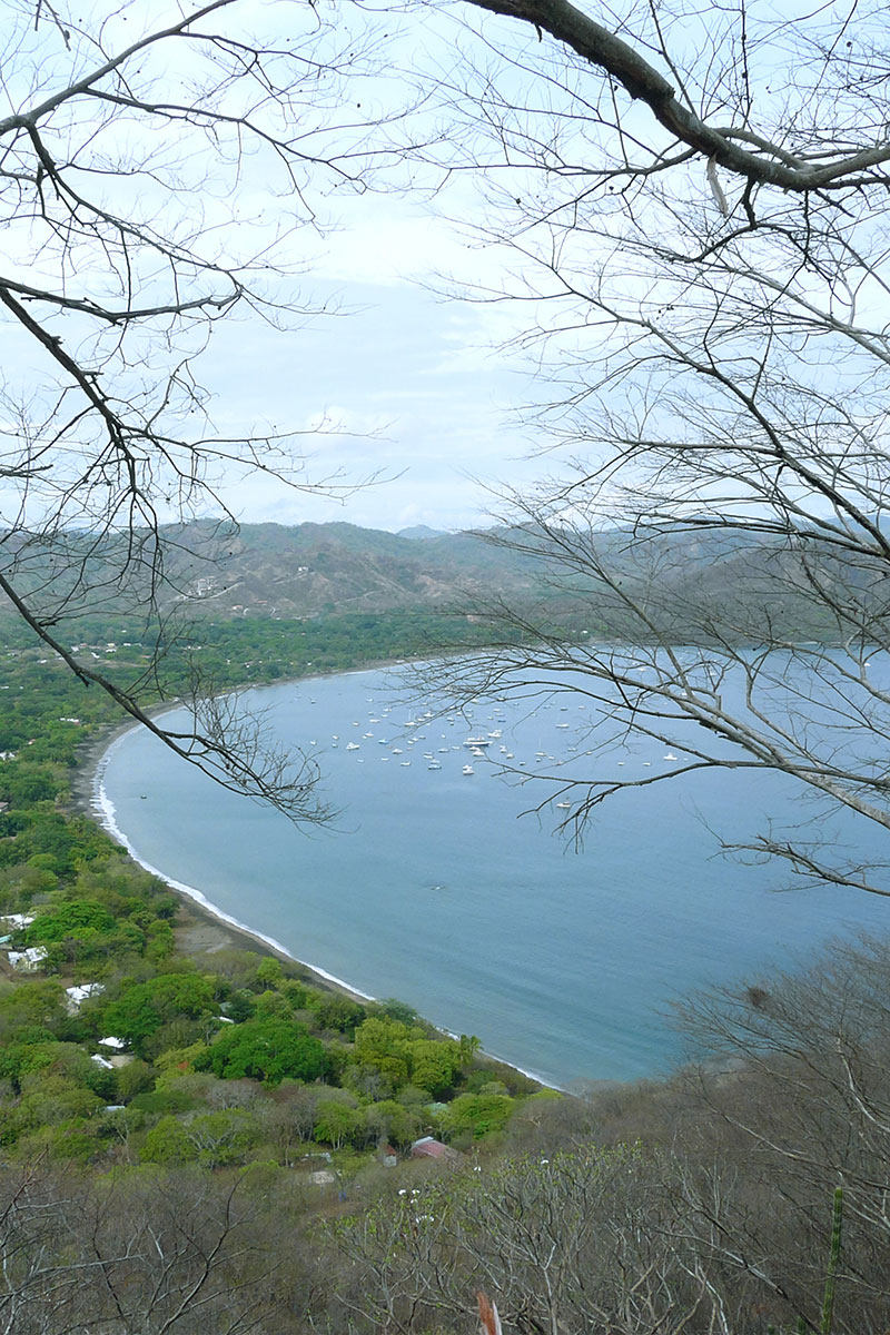 View over the peninsula papagayo in costa rica with trees in the foreground