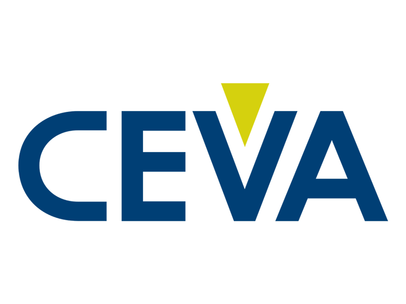CEVA unleashes CEVA-BX its all-purpose hybrid DSP  Controller architecture 