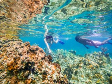 Anguilla snorkling