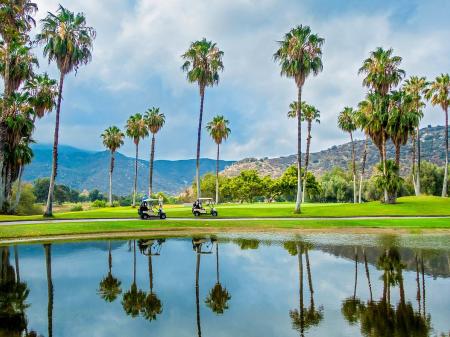 singing-hills-golf-resort (palm trees view)