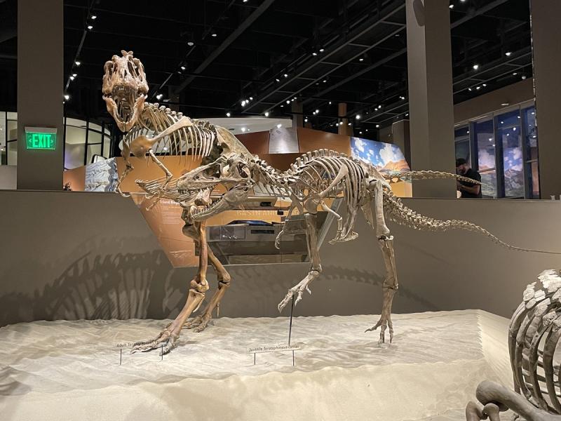 Carnivore dinos Salt Lake City Museum of Natural History
