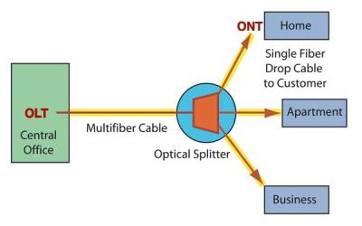 basic fiber architecture