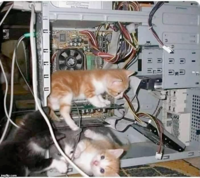 Photo of kittens playing inside a computer case