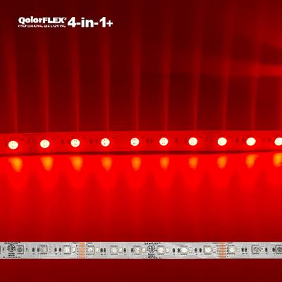 QolorFLEX Quad Chip RGB Amber + Deep Red LED Tape, showing deep red colorway only