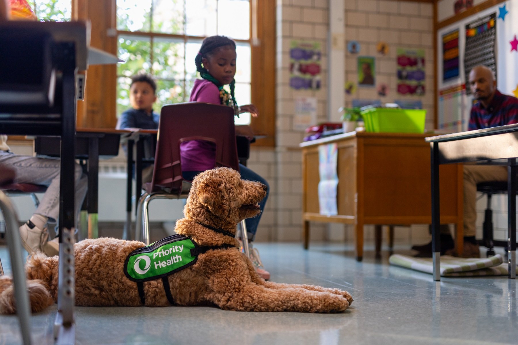 A Priority Pups service dog in a school classroom