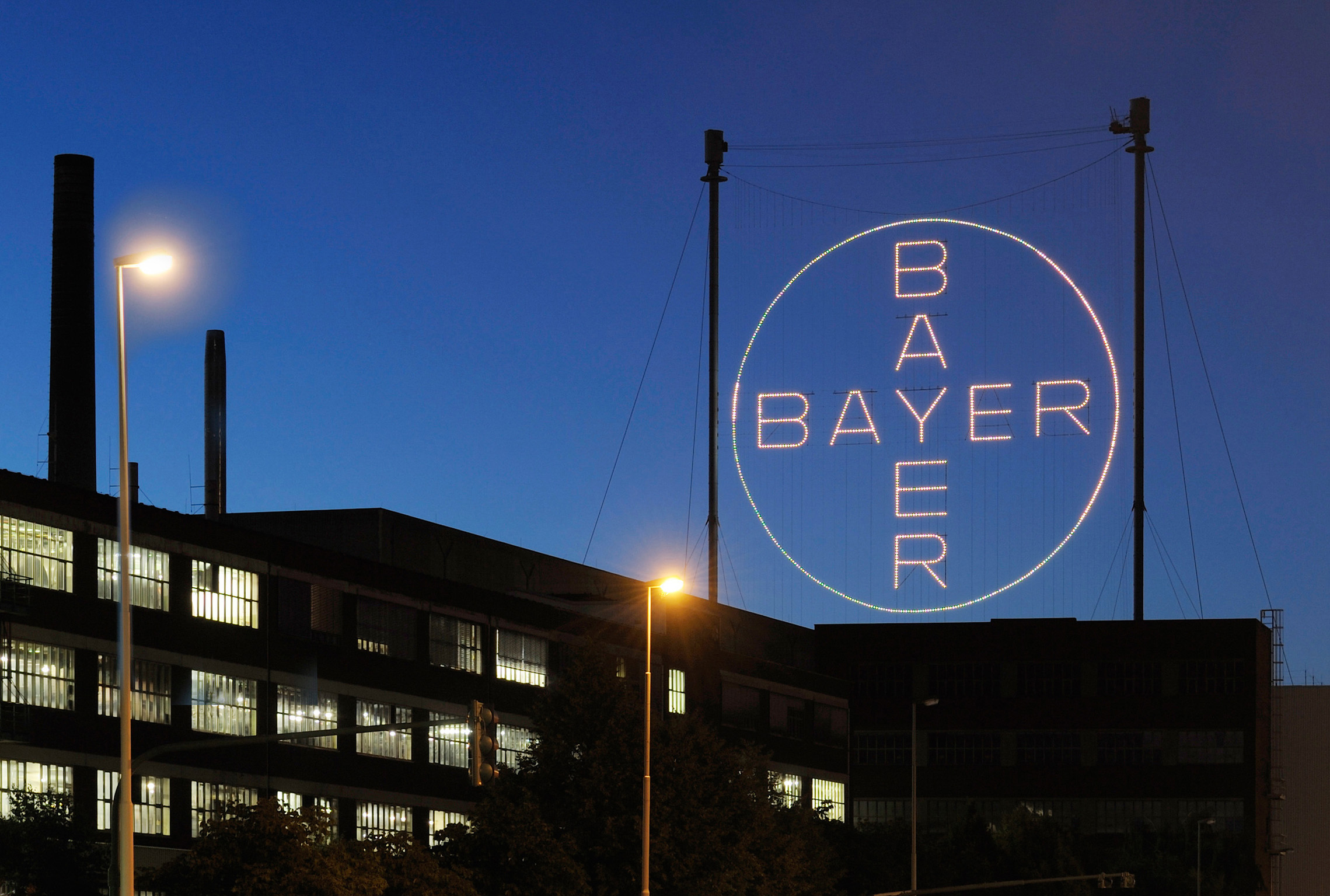 Bayer neon sign
