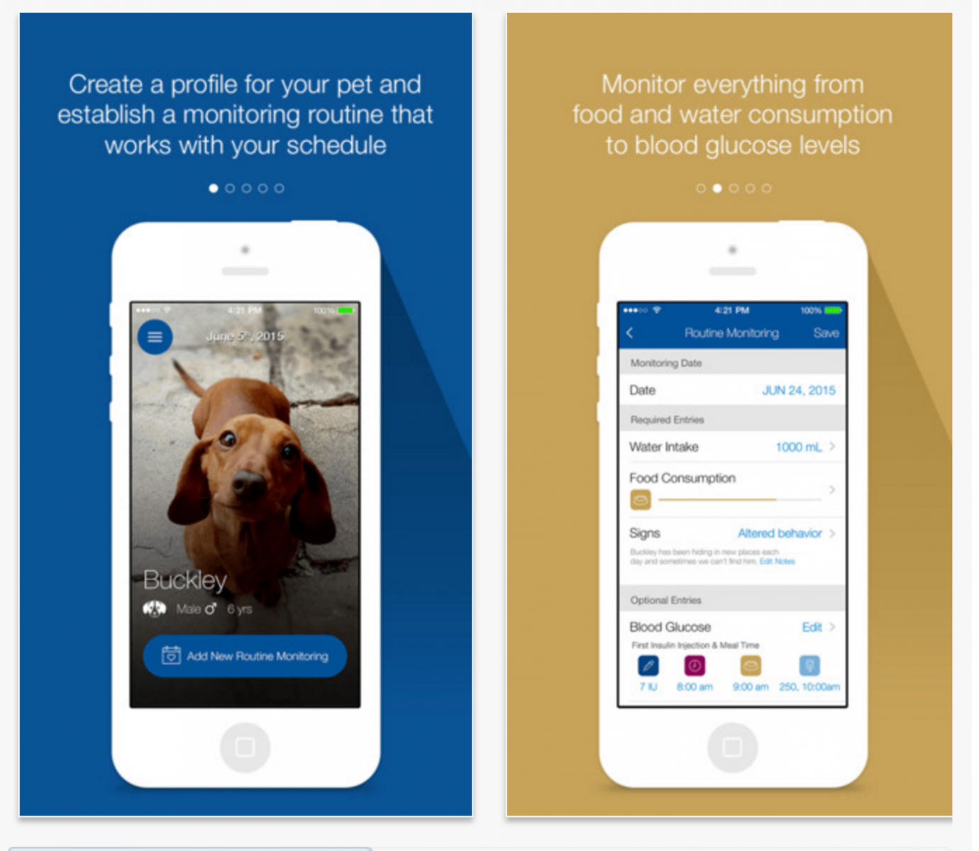 Merck diabetes app for pets