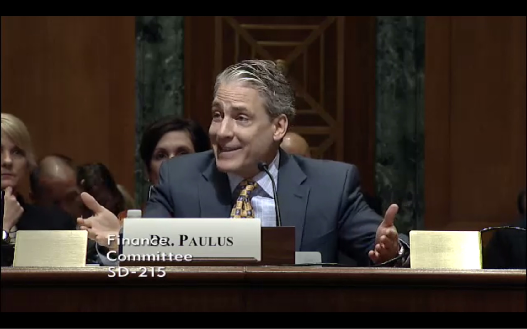 Screenshot of Dr Paulus testifying
