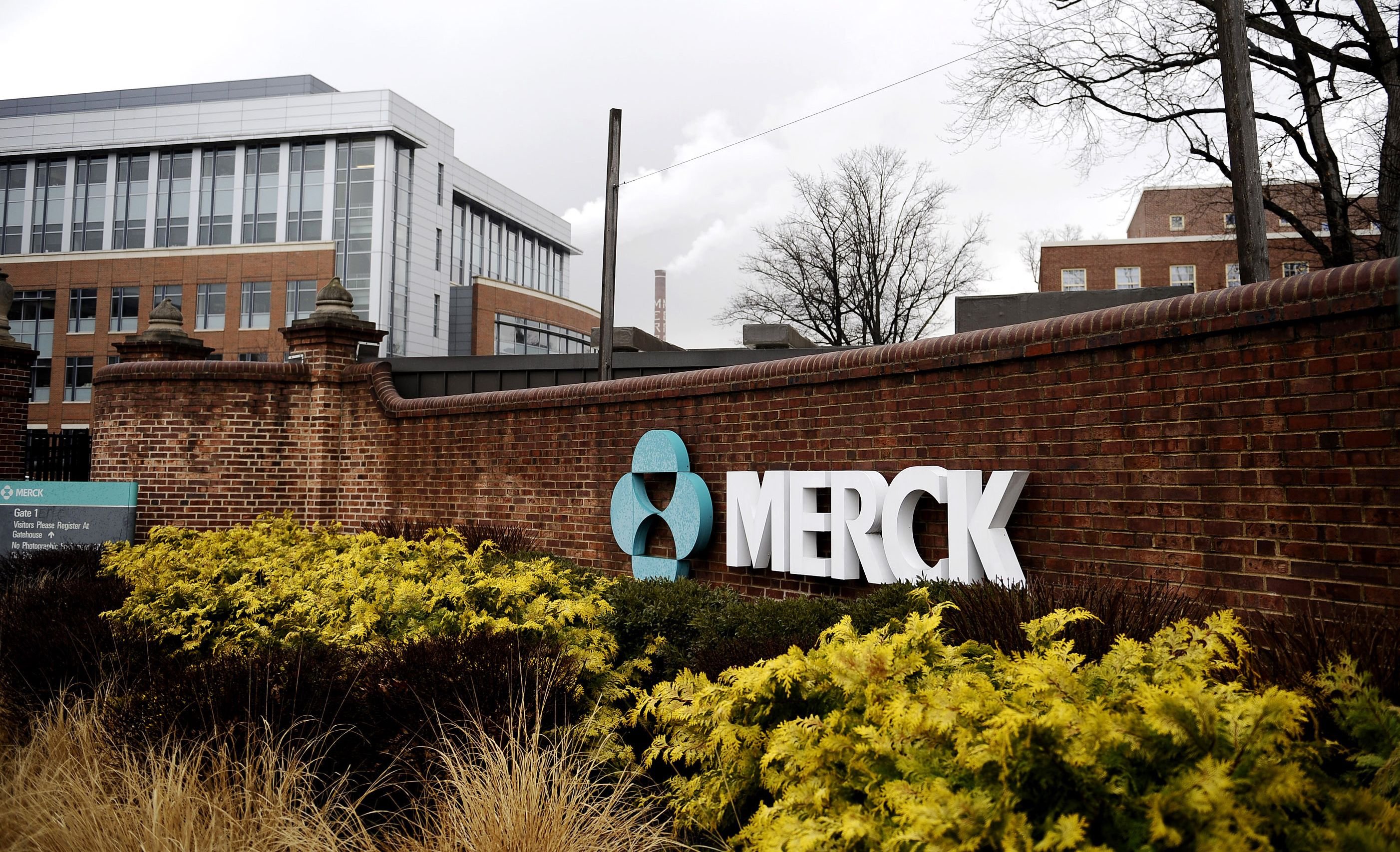 Merck falls short in Q4 sales but sees EPS growth ahead | Fierce Pharma