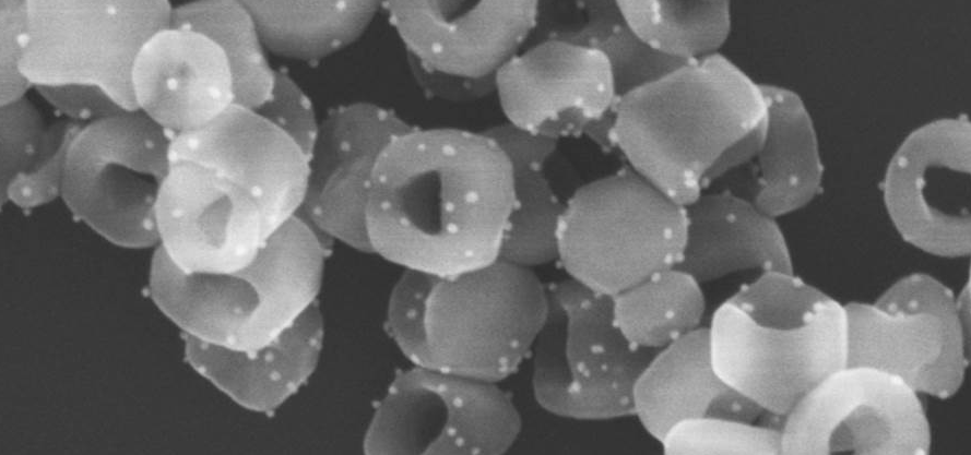 Gold-rust nanoparticles