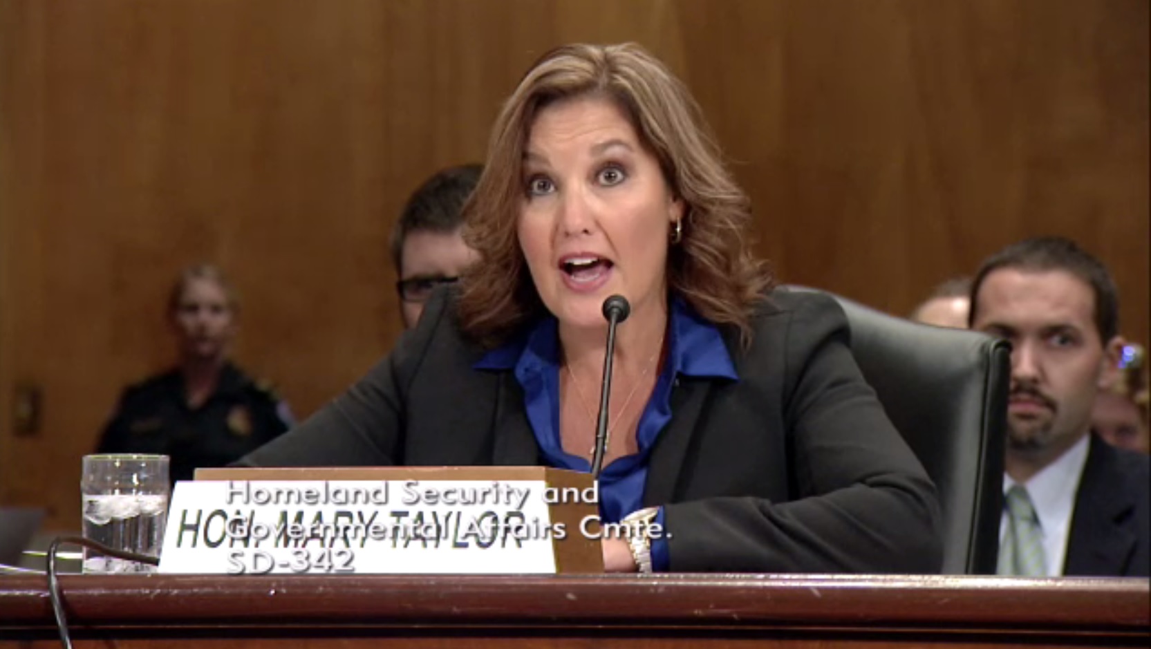 Mary Taylor speaks at at Senate hearing
