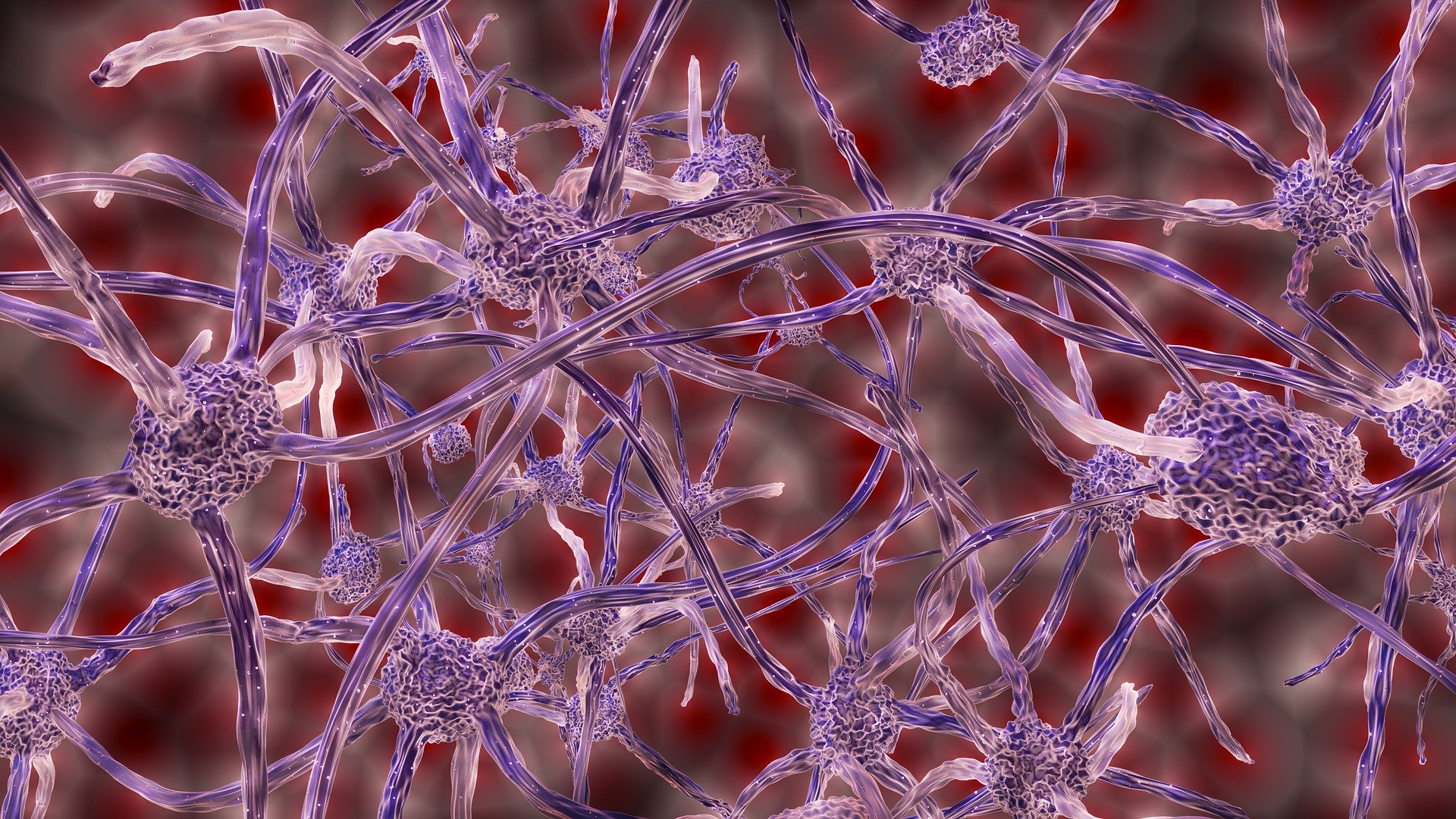 purple illustration of nerves