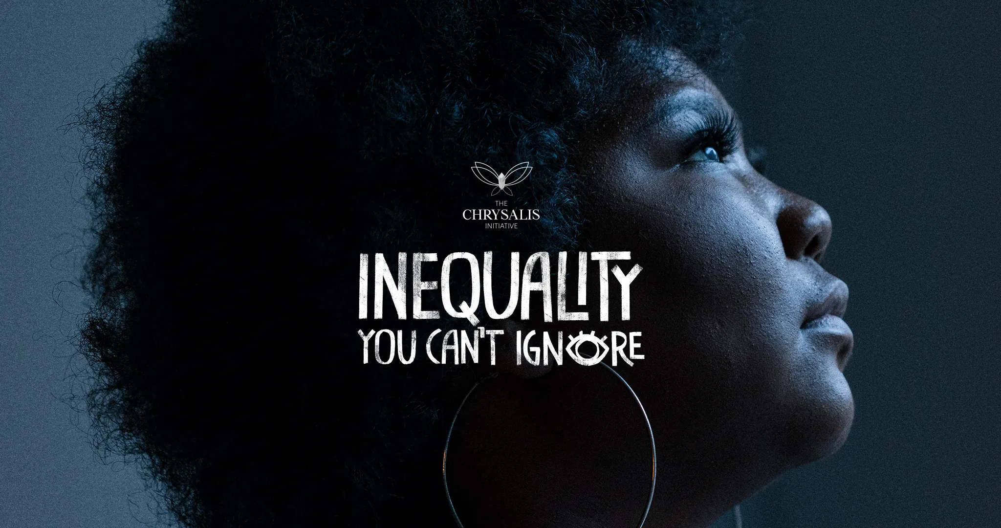 Image from the Inequality You Cant Ignore campaign