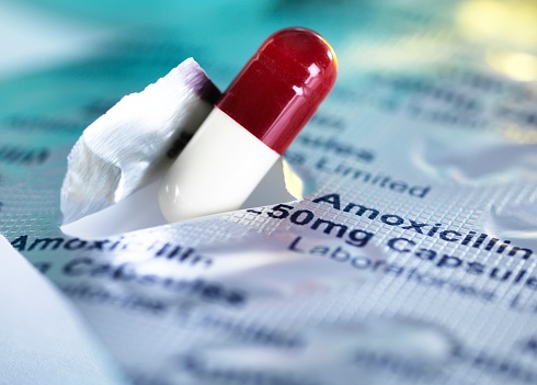 antibiotics Amoxicillin