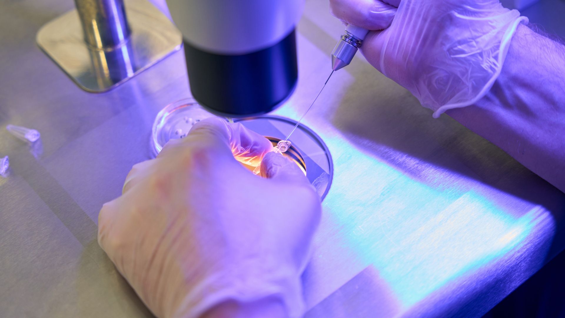 Lab assistant adds drops to capillary holder