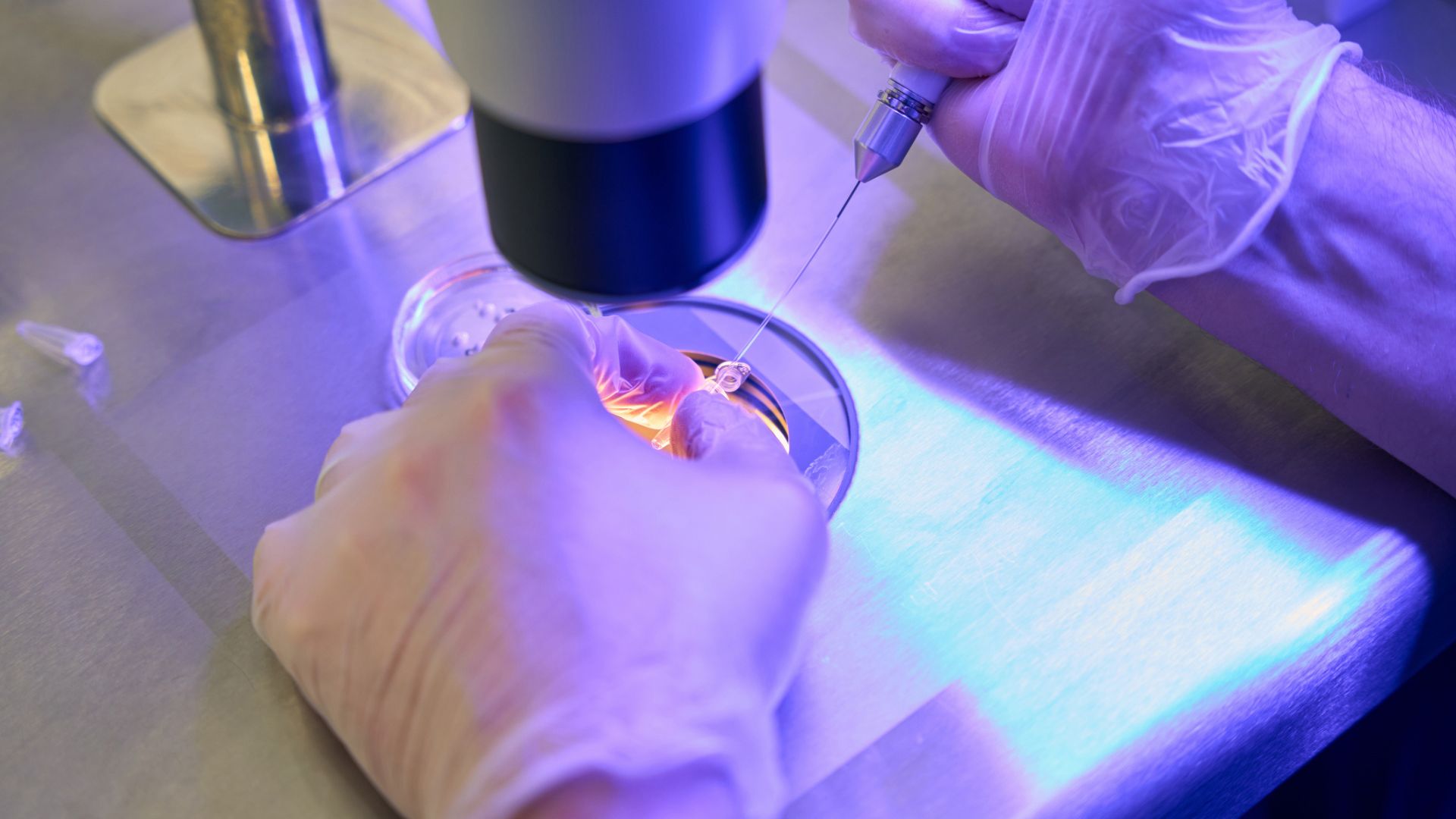 Lab assistant adds drops to capillary holder