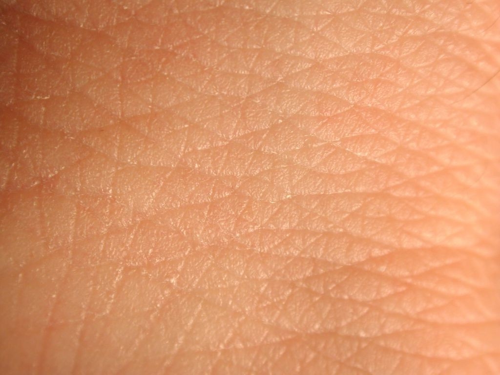 skin close-up