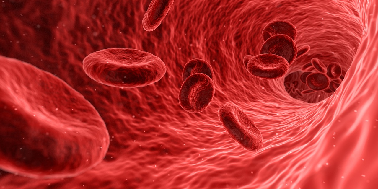 illustration of red blood cells in blood vessel
