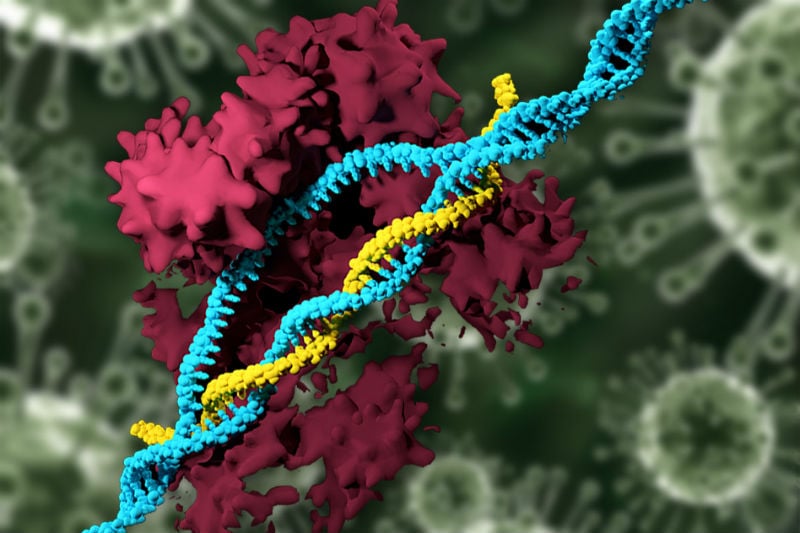 CRISPR Nanoparticle