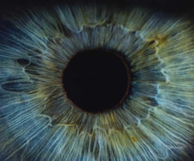 eye eyeball retinal diseases