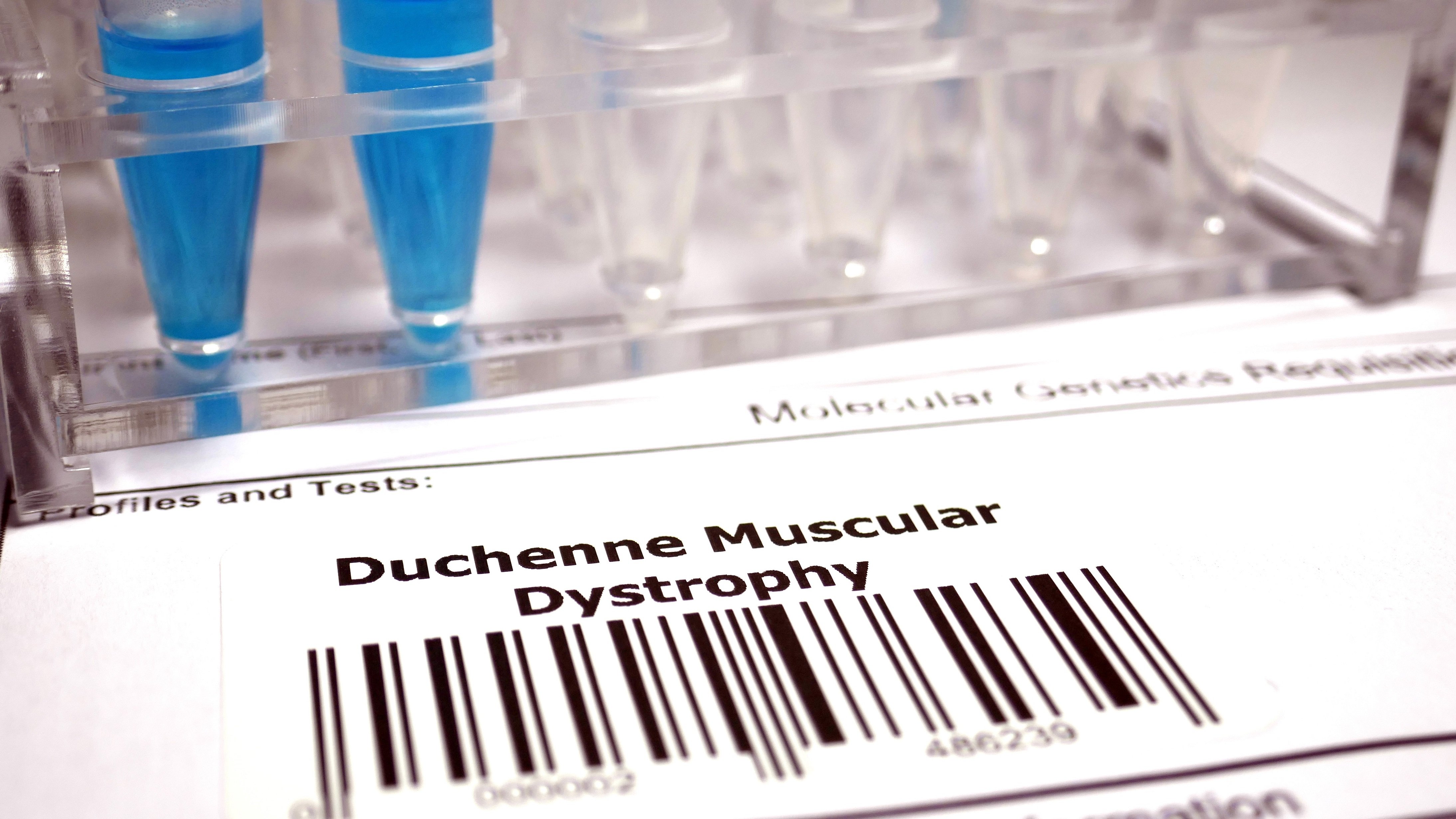 Duchenne muscular dystrophy genetic test DMD