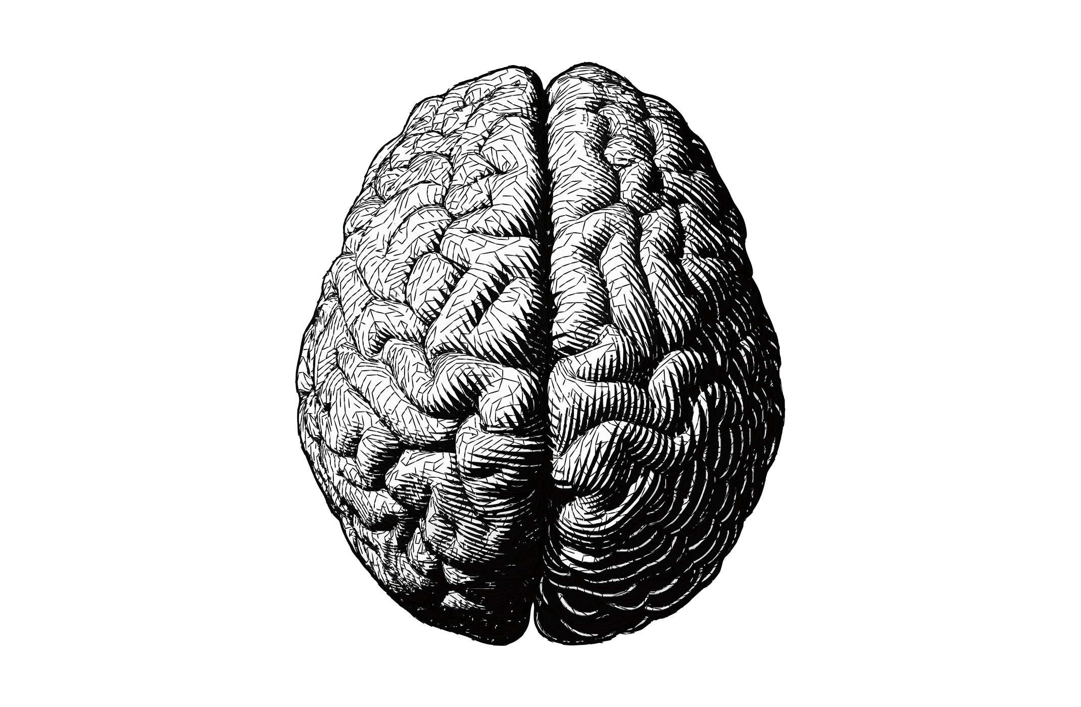 Black and white graphic image of the brain