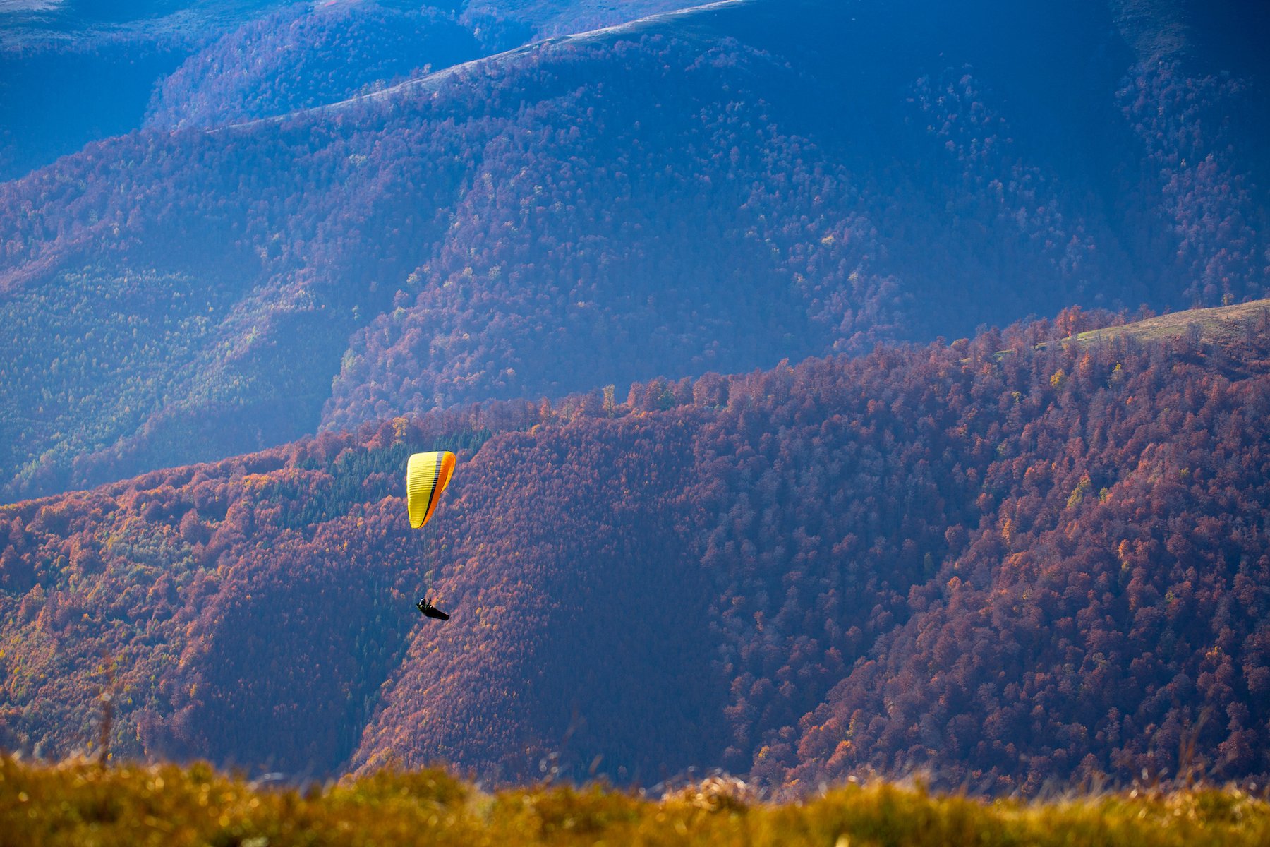 Photo of a paraglider passing tree-lined hills that are dark red from the leaves